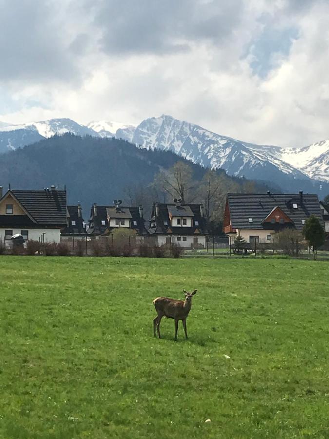 Villa Jumper Widok Na Cale Tatry Lazienka Nie Jest W Pokoju Zakopane Kültér fotó