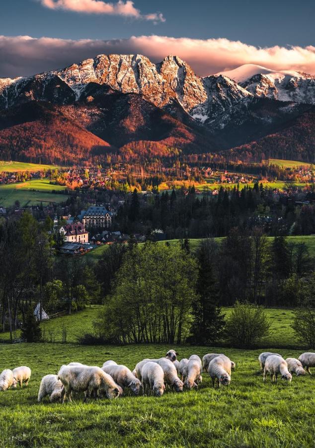 Villa Jumper Widok Na Cale Tatry Lazienka Nie Jest W Pokoju Zakopane Kültér fotó